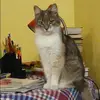Отзыв от Жанна Гладкова